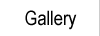 Gallery of Photos