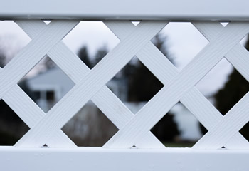 Standard Lattice Close-Up