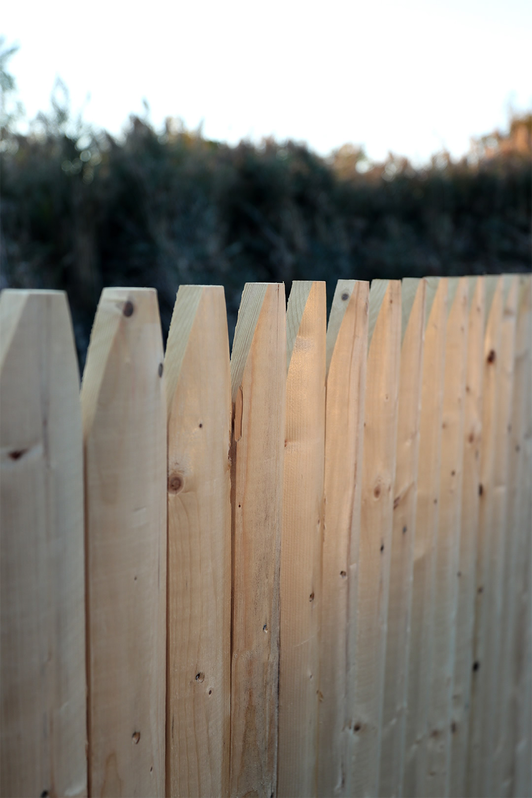 Spruce Stockade Fence, Close Up