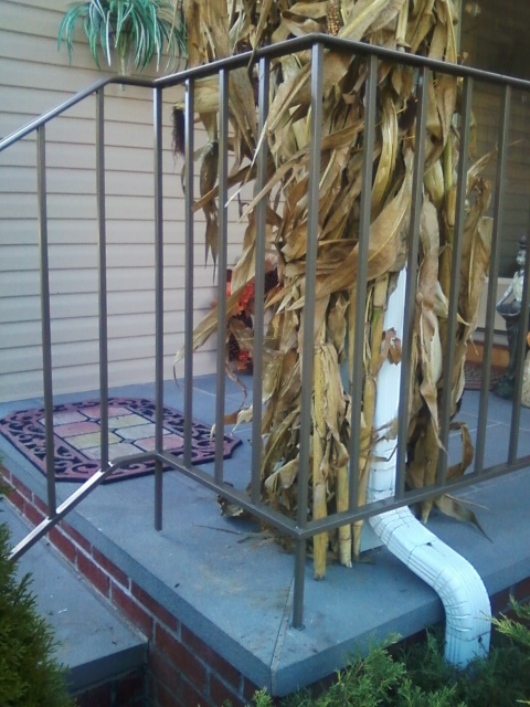 Wrought Iron Railing, Style #2 in Light Umbra